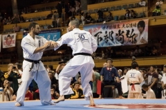 Championnat du Monde So-Kyokushin. Shizuka Japon, octobre 2016 - 70