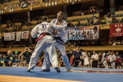 Championnat du Monde So-Kyokushin. Shizuka Japon, octobre 2016 - 71