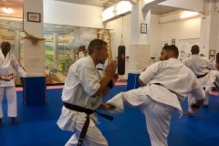 Entrai#U0302nement-avec-Hanshi-Mamadou-Diallo-29-mars-2018-17