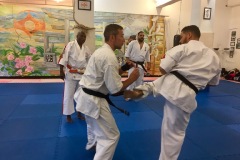Entrai#U0302nement-avec-Hanshi-Mamadou-Diallo-29-mars-2018-18