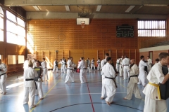 Entrainement National Shinkyokushin, Septembre 2018, Lausanne - 7