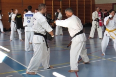 Entrainement National Shinkyokushin, Septembre 2018, Lausanne - 8