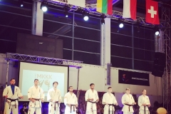 Kokoro Cup, Varsovie, 10.12.16 - 15