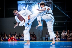 Kokoro Cup, Varsovie, 10.12.16 - 9