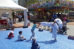 Pleine des Jeunes 28-29 avril 2018 - 2