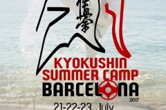 Summer Camp Barcelona juillet 2017 - 1